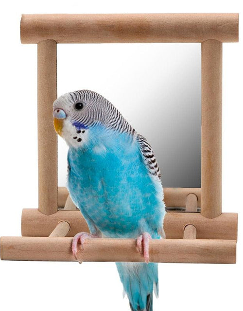 Load image into Gallery viewer, Curious Avian Reflection Stand by Dog Hugs Cat
