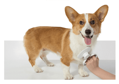 Load image into Gallery viewer, Furcare Pro: The Ultimate Self-Cleaning Wire Brush For A Flawless Grooming Experience! by Dog Hugs Cat
