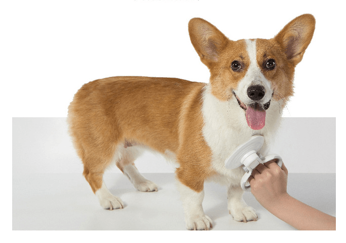 Furcare Pro: The Ultimate Self-Cleaning Wire Brush For A Flawless Grooming Experience! by Dog Hugs Cat