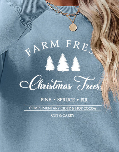 Load image into Gallery viewer, Graphic Round Neck Dropped Shoulder Sweatshirt
