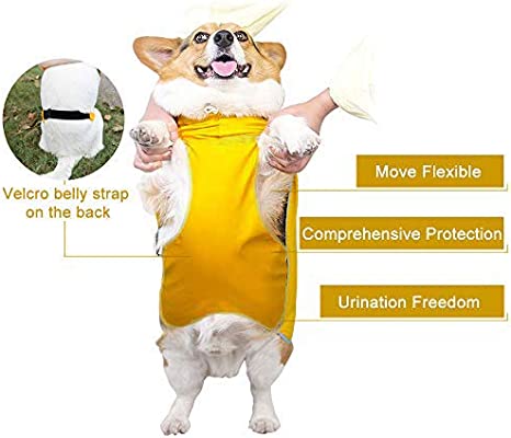 Load image into Gallery viewer, Dog waterproof Raincoat and Poncho with Belly Protection by Dach Everywhere
