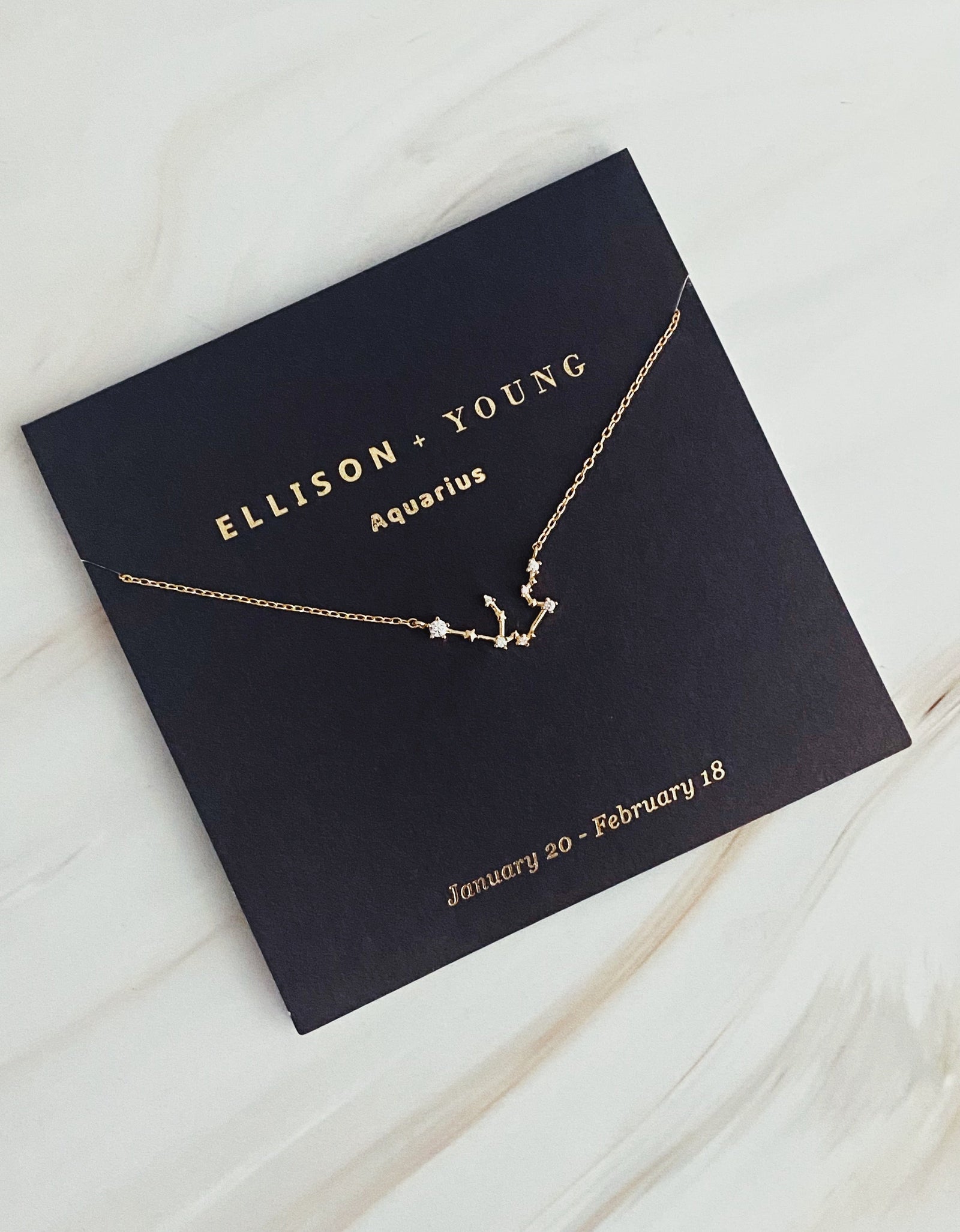 Zodiac Collection Necklace by Ellisonyoung.com