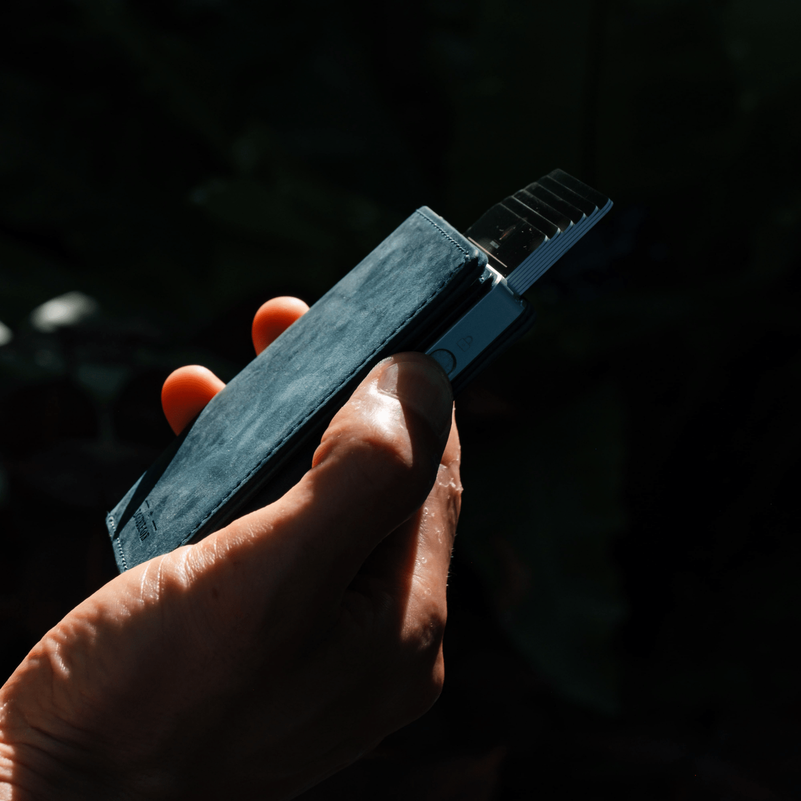 Bifold Wallet