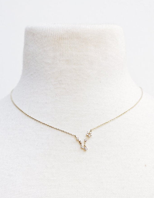Load image into Gallery viewer, Zodiac Collection Necklace by Ellisonyoung.com

