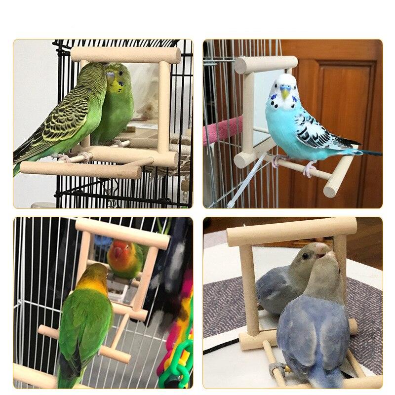 Curious Avian Reflection Stand by Dog Hugs Cat