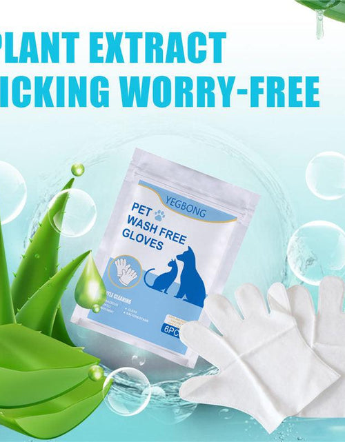 Load image into Gallery viewer, Pet Care Essentials: 6-Pack Of Disposable Non-Woven Gloves For A Clean And Happy Home by Dog Hugs Cat
