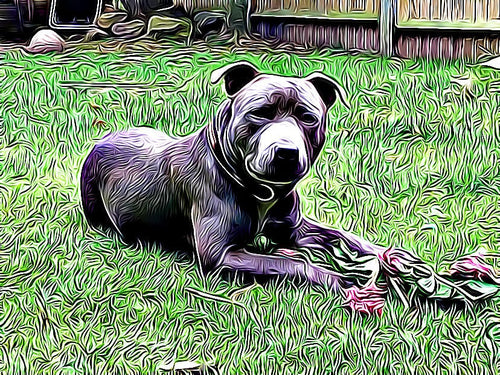 Load image into Gallery viewer, Cartoonize Your Photo's Perfect Gift Upload Your Own Images by WinsterCreations™ Official Store

