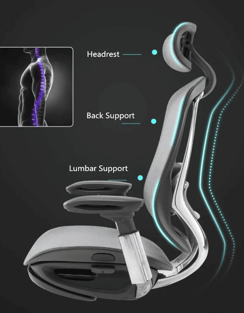Load image into Gallery viewer, CeliniChair Executive Mesh Ergonomic Office Chair by EFFDESK - Black by Level Up Desks
