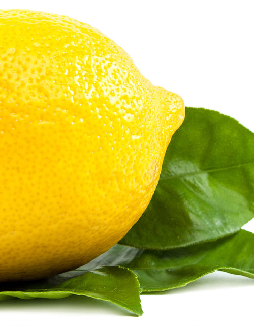 Load image into Gallery viewer, Lemon &amp; Basil Hand &amp; Body Crème Gel by EarthToSkin
