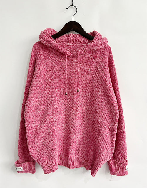 Load image into Gallery viewer, Drawstring Long Sleeve  Hooded Sweater
