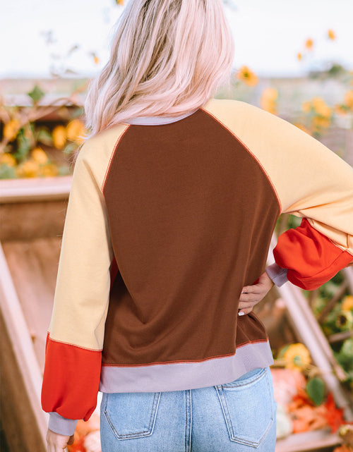 Load image into Gallery viewer, Color Block Round Neck Long Sleeve Sweatshirt
