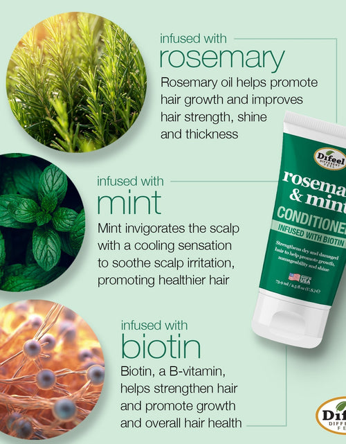 Load image into Gallery viewer, Difeel Rosemary Mint with Biotin Shampoo &amp; Conditioner Combo Packet 2oz. by difeel - find your natural beauty
