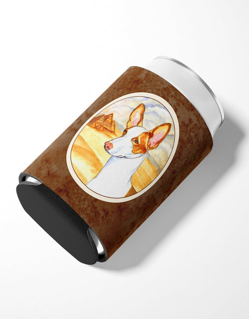 Load image into Gallery viewer, Ibizan Hound Can or Bottle Hugger 7031CC by Caroline's Treasures
