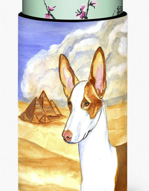 Load image into Gallery viewer, Ibizan Hound  Tall Boy Beverage Insulator Beverage Insulator Hugger by Caroline's Treasures

