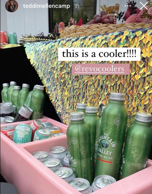 Load image into Gallery viewer, REVO Party Barge Cooler | Pink Coral | Insulated Beverage Tub by REVO COOLERS, LLC
