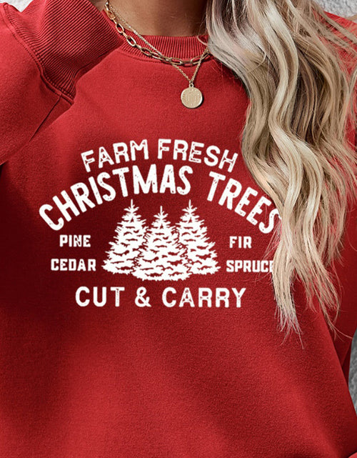 Load image into Gallery viewer, Round Neck Graphic Long Sleeve Sweatshirt
