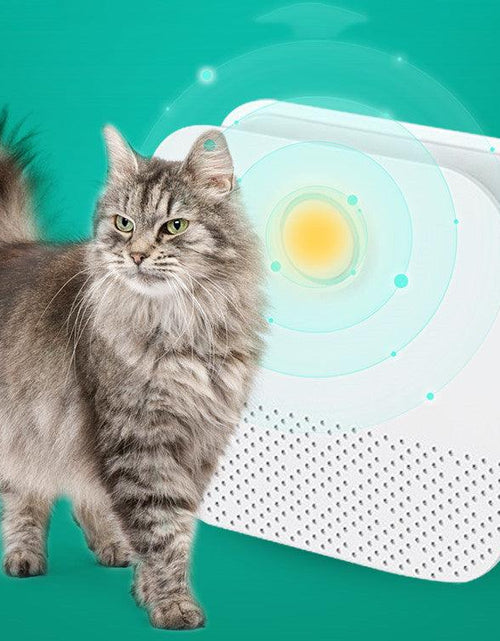 Load image into Gallery viewer, Clean Scent Cat Odor Eliminator by Dog Hugs Cat
