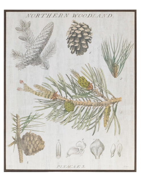 Load image into Gallery viewer, Framed Pine Encyclopedia Print 15.5"H
