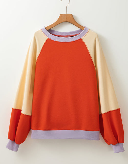 Load image into Gallery viewer, Color Block Round Neck Long Sleeve Sweatshirt
