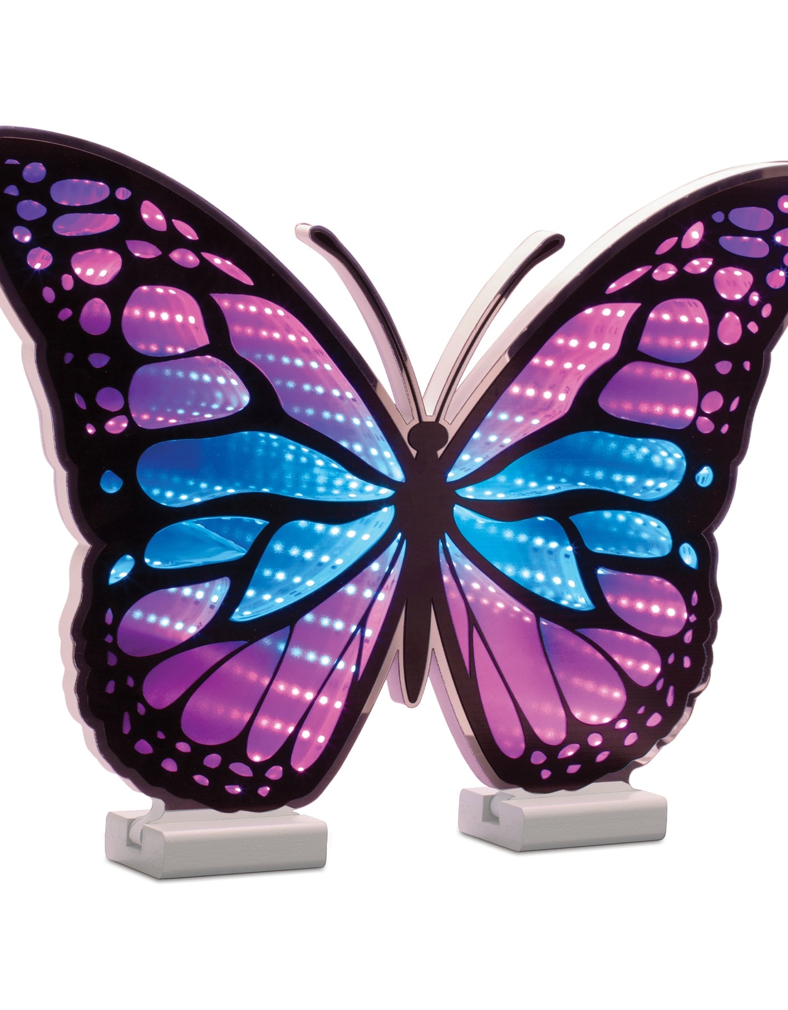 Butterfly Ekko Light Display 17"L