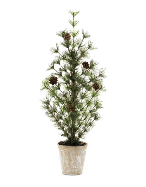 Load image into Gallery viewer, Potted Mini Pine Tree 24"H
