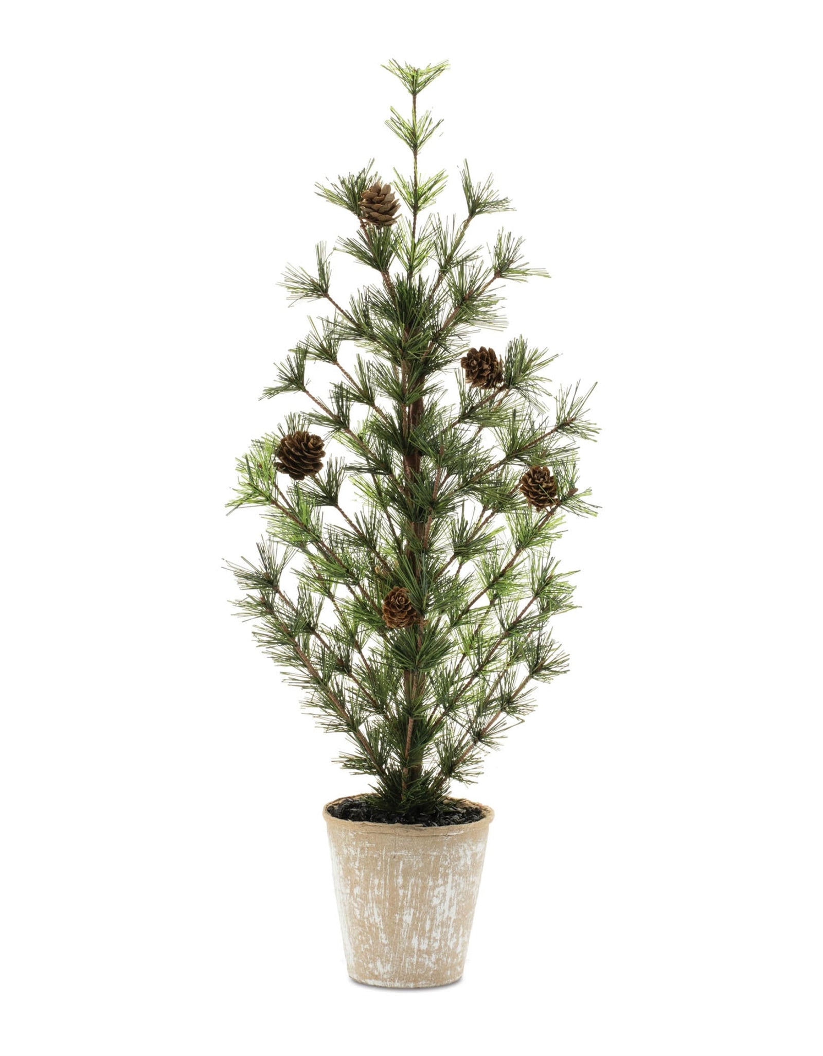 Potted Mini Pine Tree 24"H