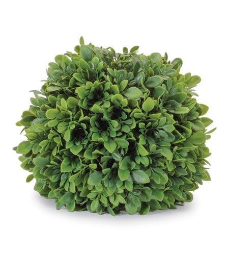 Boxwood Foliage Orb (Set of 2)
