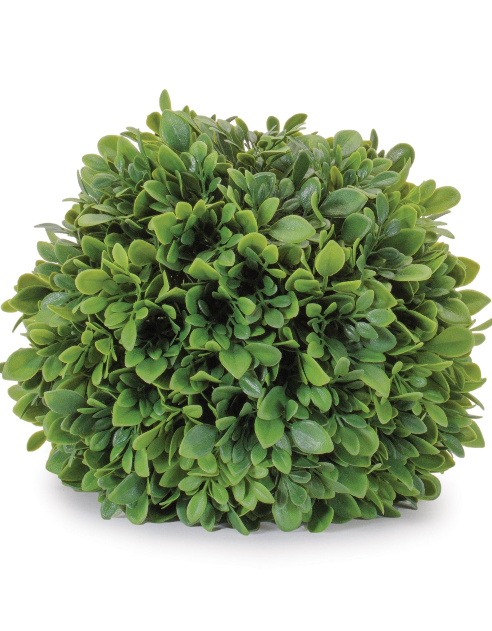 Boxwood Foliage Orb (Set of 2)