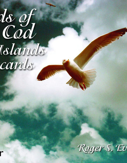 Load image into Gallery viewer, Birds of Cape Cod &amp; the Islands in Postcards by Schiffer Publishing

