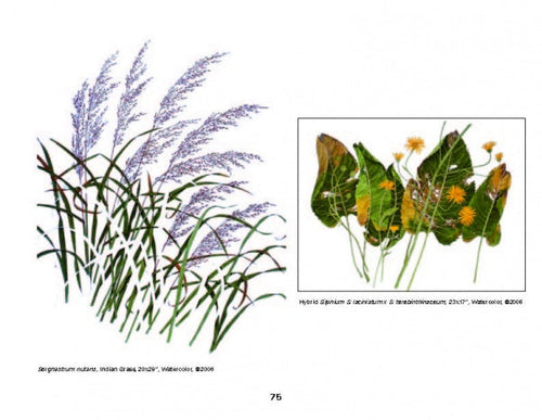 Load image into Gallery viewer, Today's Botanical Artists by Schiffer Publishing
