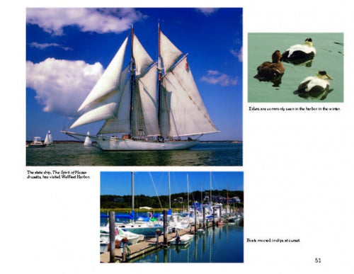 Load image into Gallery viewer, Harbors of Cape Cod &amp; the Islands by Schiffer Publishing
