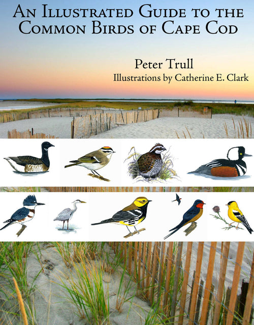 Load image into Gallery viewer, An Illustrated Guide to the Common Birds of Cape Cod by Schiffer Publishing
