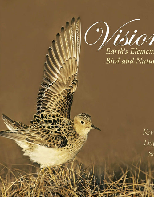 Load image into Gallery viewer, Visions by Schiffer Publishing
