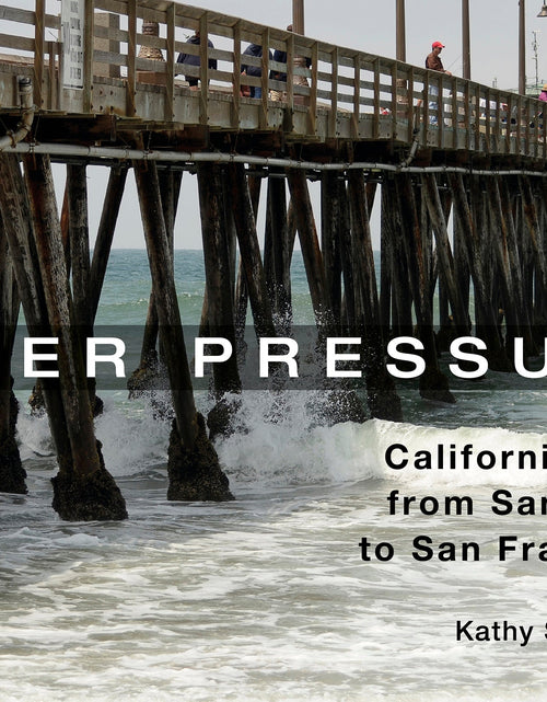 Load image into Gallery viewer, Pier Pressure: California Piers from San Diego to San Francisco by Schiffer Publishing
