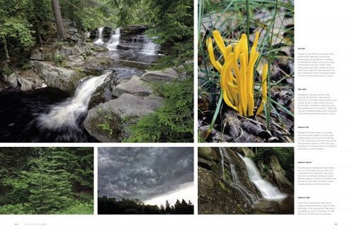 Load image into Gallery viewer, Reserves of Strength: Pennsylvania's Natural Landscape by Schiffer Publishing
