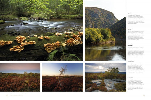 Load image into Gallery viewer, Reserves of Strength: Pennsylvania's Natural Landscape by Schiffer Publishing
