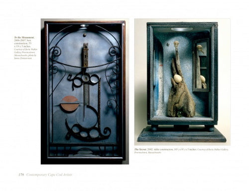 Load image into Gallery viewer, Contemporary Cape Cod Artists by Schiffer Publishing
