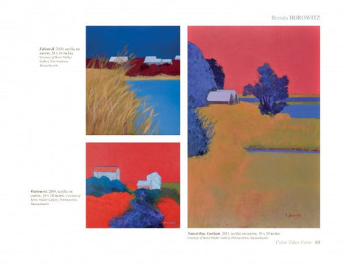 Load image into Gallery viewer, Contemporary Cape Cod Artists by Schiffer Publishing
