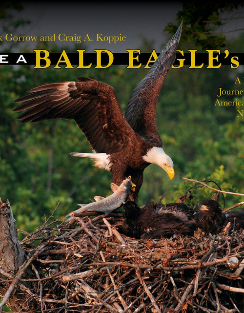 Load image into Gallery viewer, Inside a Bald Eagle's Nest by Schiffer Publishing
