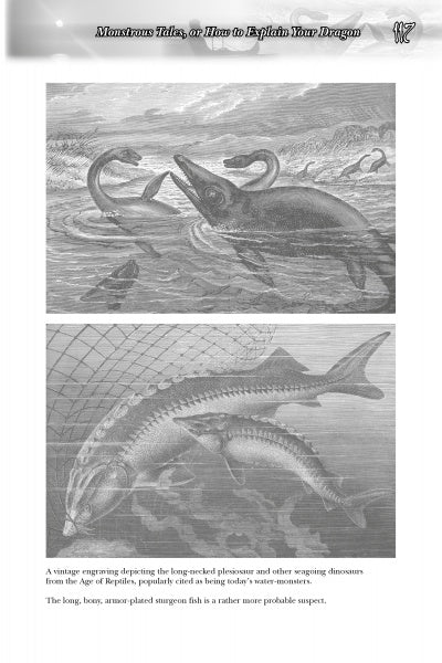 Load image into Gallery viewer, Great Lakes Folklore by Schiffer Publishing
