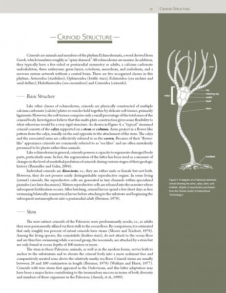 Collector's Guide to Crawfordsville Crinoids by Schiffer Publishing