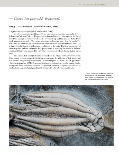 Load image into Gallery viewer, Collector's Guide to Crawfordsville Crinoids by Schiffer Publishing
