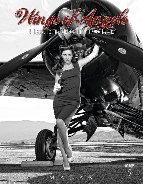 Load image into Gallery viewer, Wings of Angels by Schiffer Publishing
