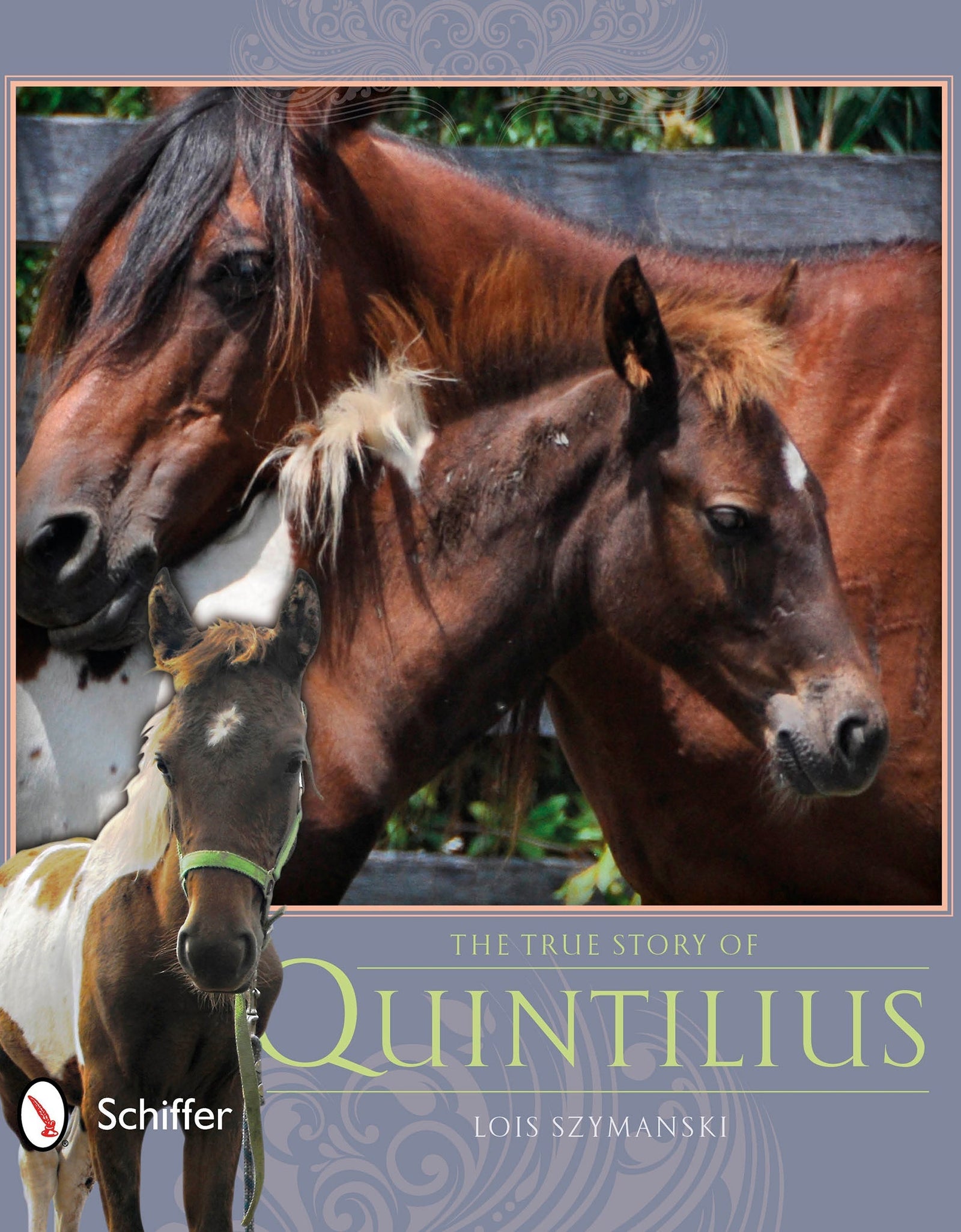 The True Story of Quintilius by Schiffer Publishing