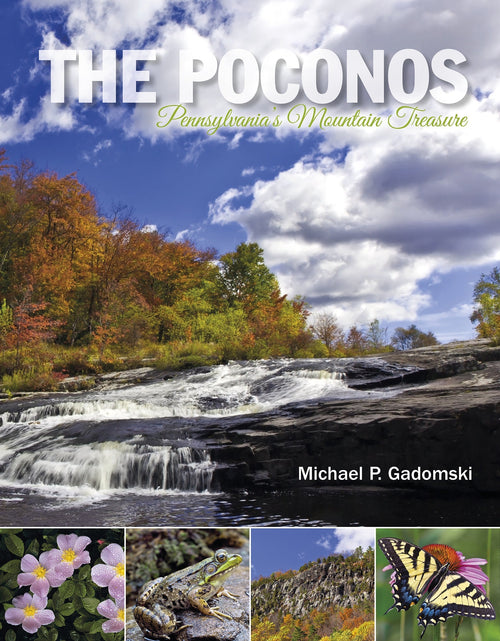 Load image into Gallery viewer, The Poconos by Schiffer Publishing
