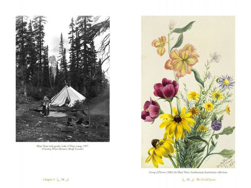 Load image into Gallery viewer, The Life and Times of Mary Vaux Walcott by Schiffer Publishing
