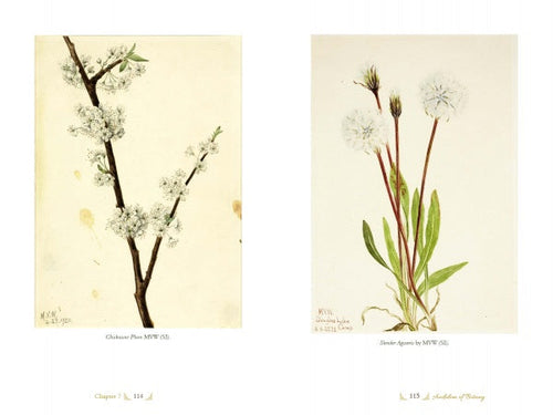 Load image into Gallery viewer, The Life and Times of Mary Vaux Walcott by Schiffer Publishing
