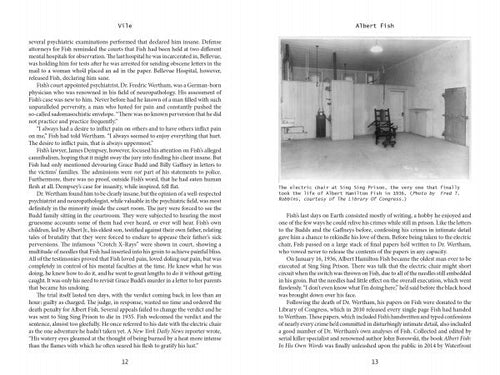Load image into Gallery viewer, Vile: Peeking Under the Skin of Murderers by Schiffer Publishing
