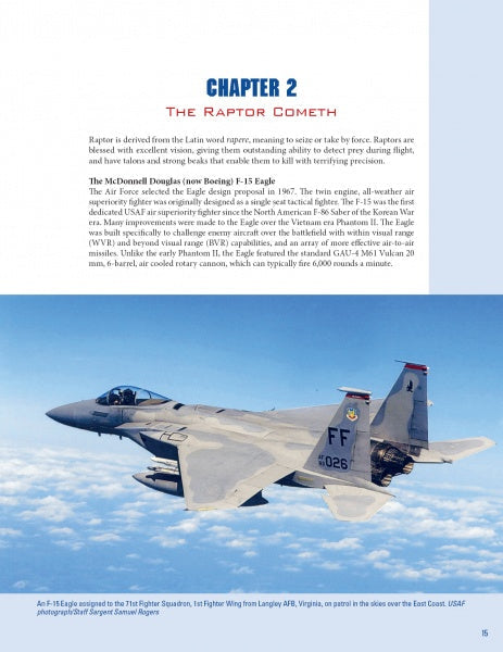 Load image into Gallery viewer, The Raptors by Schiffer Publishing
