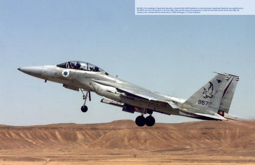 Load image into Gallery viewer, The Raptors by Schiffer Publishing
